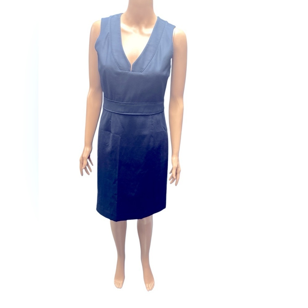 J Crew - EC - Fitted Designer Dress